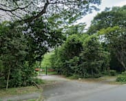 No current plans to designate Tagore forest as a nature reserve: Chee Hong Tat 