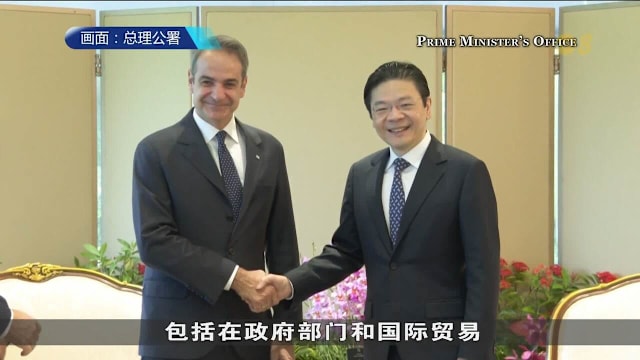 黄总理同希腊总理米佐塔基斯举行会晤