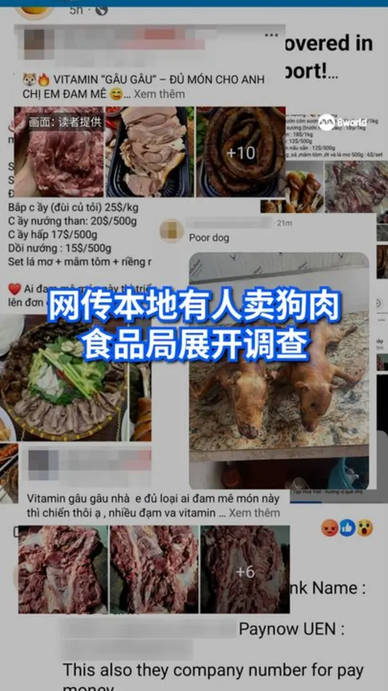 20260924_alleged_dog_meat_sale_singapore 