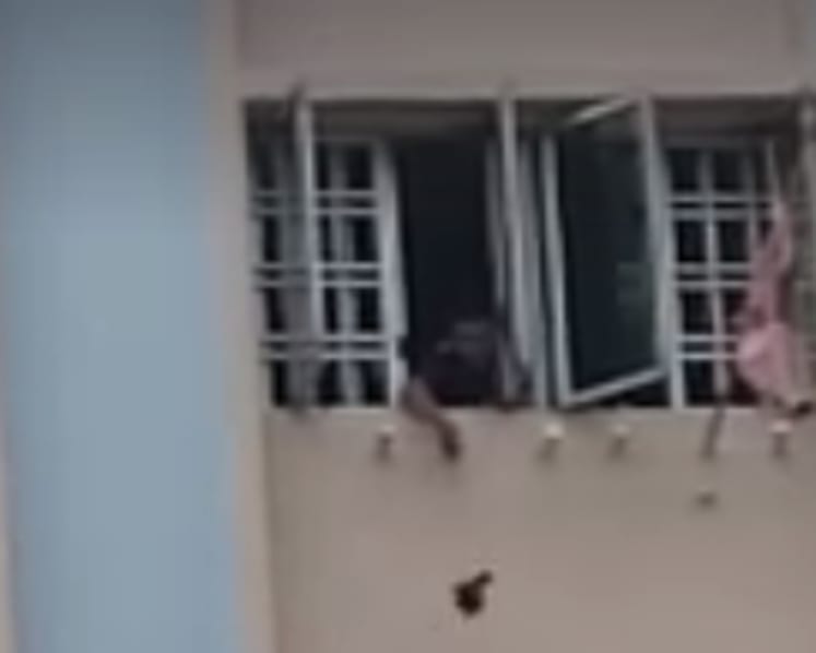 Man who suspended bird from flat gets AVA warning