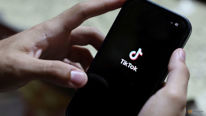 Meta, TikTok win challenge against EU tech fees, forcing regulators to recalculate