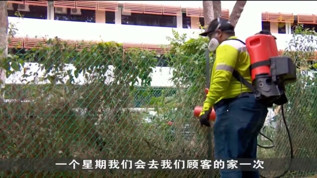 口试练习：本地骨痛热症病例持续增加