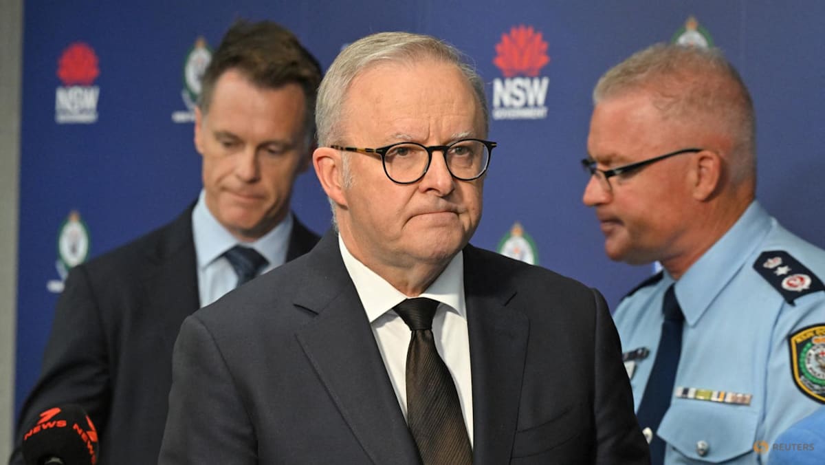 Australian PM proposes ‘tougher gun laws’ after Bondi mass shooting Australian PM proposes ‘tougher gun laws’ after Bondi mass shooting