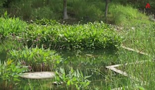 Singapore Tonight - Sun 16 Nov 2025