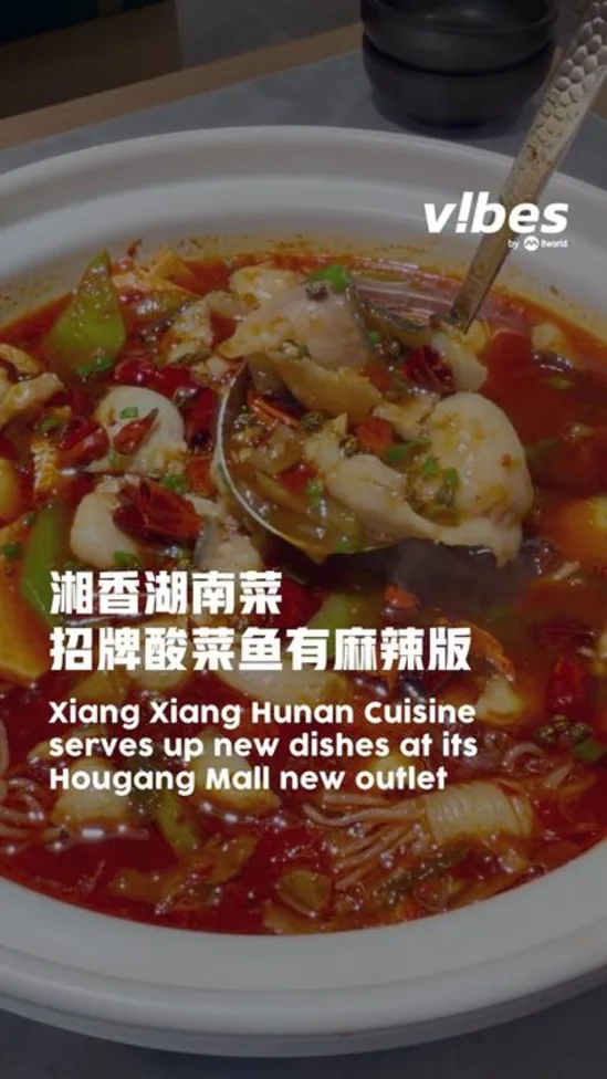 20260508_LS_xiang-xiang