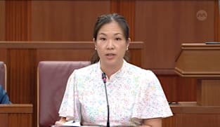 Committee of Supply 2026 debate, Day 1: He Ting Ru on effect of carbon tax 