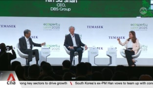 Climate action should not take backseat even as nations deal with shifting trade dynamics: SM Teo