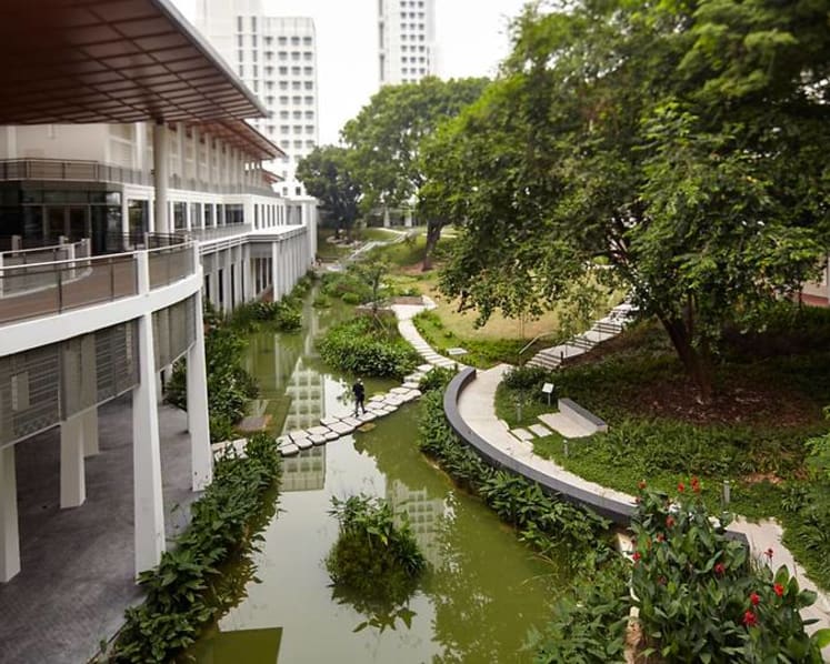 Expelled Yale-NUS student gets jail for filming shower videos of housemates, taking upskirt photos