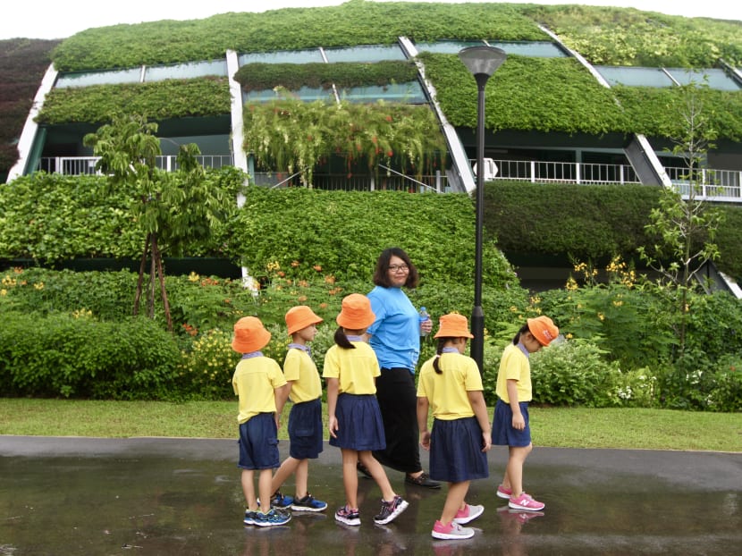 Skool4Kidz's new campus at Sengkang Riverside Park was opened by Minister for Social and Family Development Mr Desmond Lee on Wednesday (July 25).