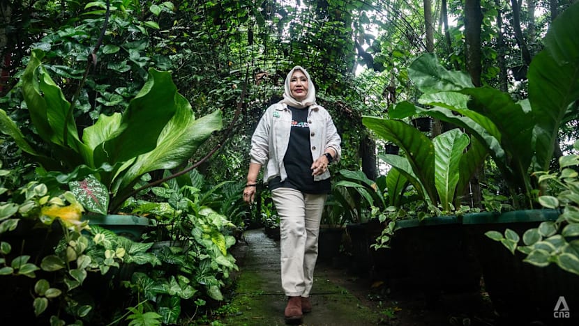 'Saya harus jadi macannya hutan': Perjuangan Rosita ubah tanah gersang jadi hutan organik di Megamendung