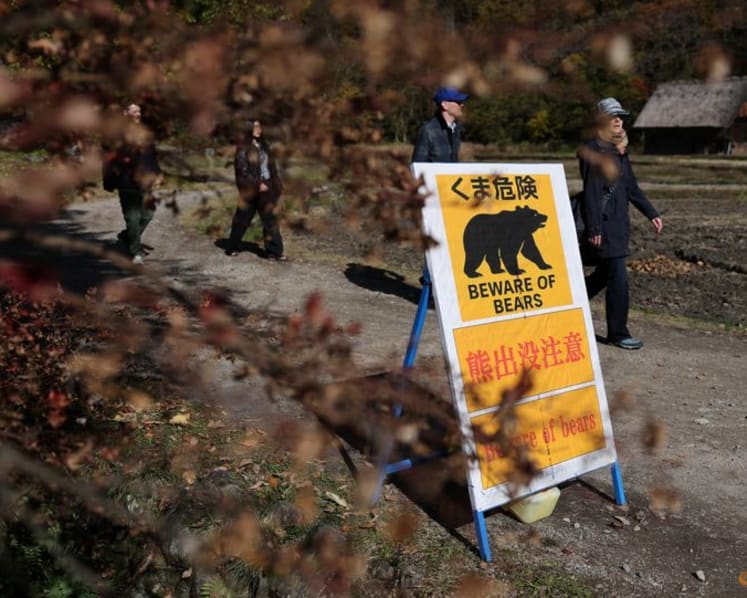 Japan grapples with growing bear threat amid record number of attacks