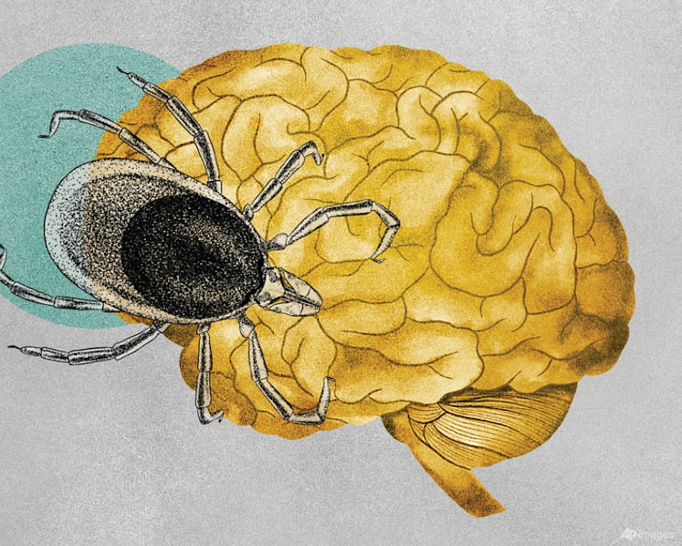 Cases of tick-borne illnesses are on the rise. Some experts believe climate change is the cause
