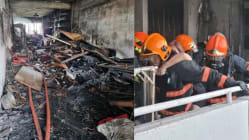 Related article image