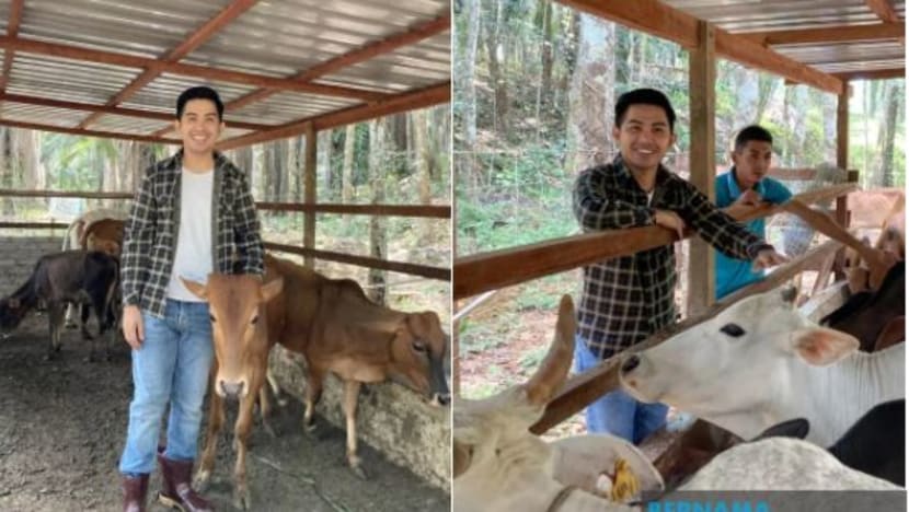'Sir Ladang' kongsi kejayaan jadi penternak lembu di TikTok; sumber inspirasi generasi muda 