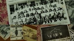 Related article image