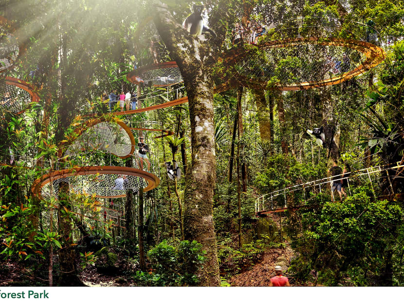 An artist’s impression of the Rainforest Park, which will allow visitors to move around on forest-floor pathways and treetop canopies. Photo: Mandai Safari Park An artist’s impression of the Rainforest Park, which will allow visitors to move around on forest-floor pathways and treetop canopies. Photo: Mandai Safari Park