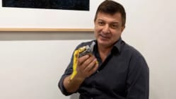 Related article image