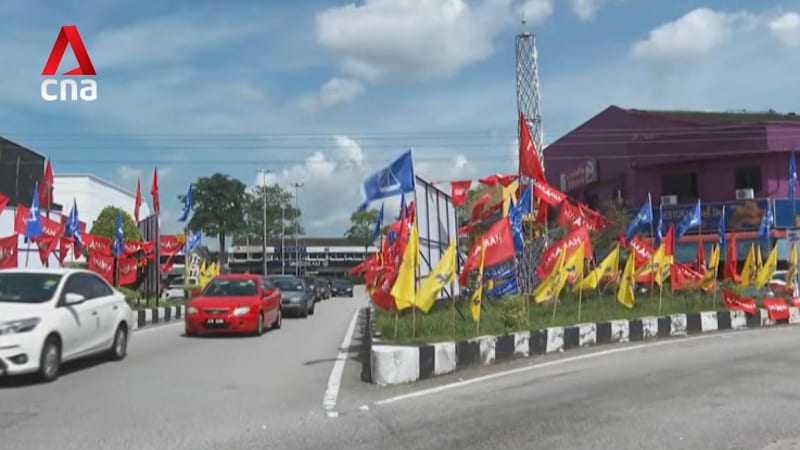 Johor votes: State election campaign enters final stretch before polling on Jul 11 