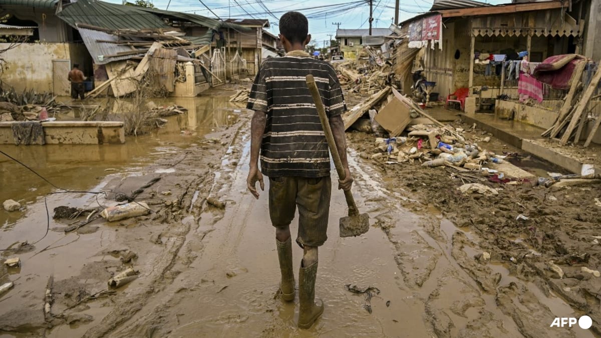 Hardships mount in Indonesia and Sri Lanka as flood tolls rise