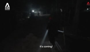 What's Coming Up - The Freedom Corridor