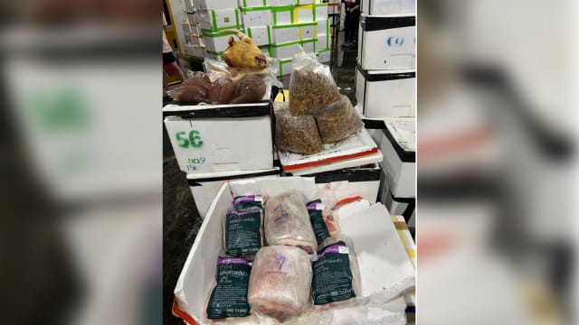 本地一家批发贸易公司非法进口肉类 经营者被罚款8000元