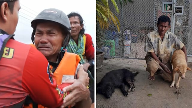 洪水中失犬又重逢 泰老翁痛哭画面惹泪目
