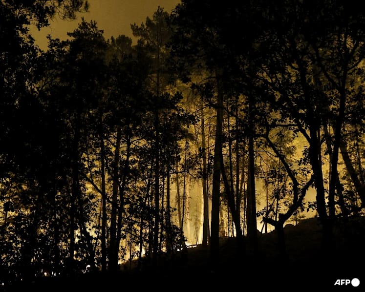 Planes fight fire in Fontainebleau forest near Paris