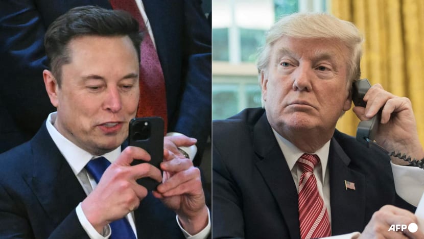 Trump says will 'take a look' at deporting Musk - CNA