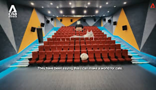 What's Coming Up - Hobsessions