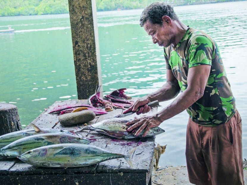 To the spice islands