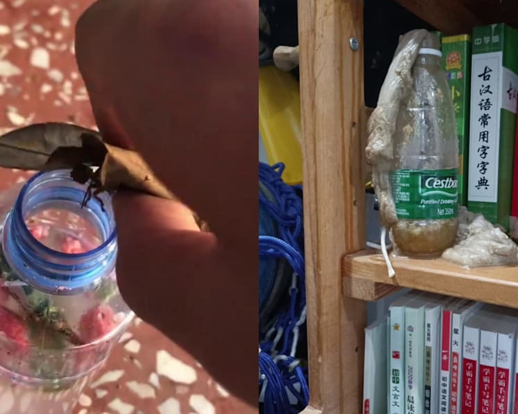 ‘Rearing stinky water’ becomes a fad among students in China despite safety, health risks