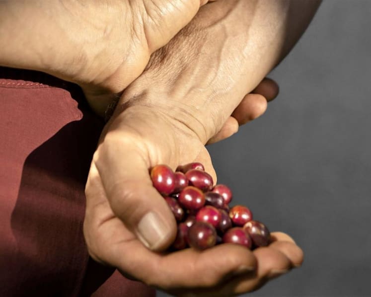 Respecting – and sustaining – local farming traditions 
