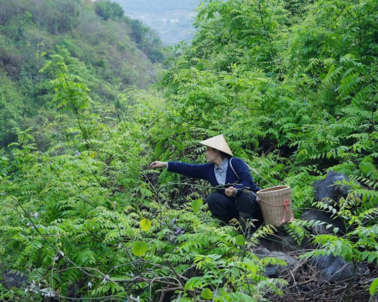 Rural escapism: Why China’s young urbanites are romanticising countryside living