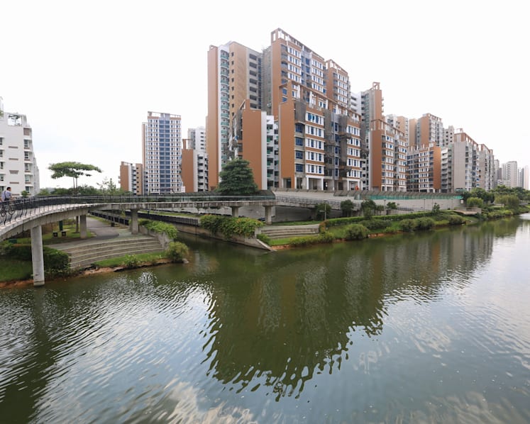 Biodiversity thriving on artificial Punggol waterway