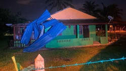 Related article image