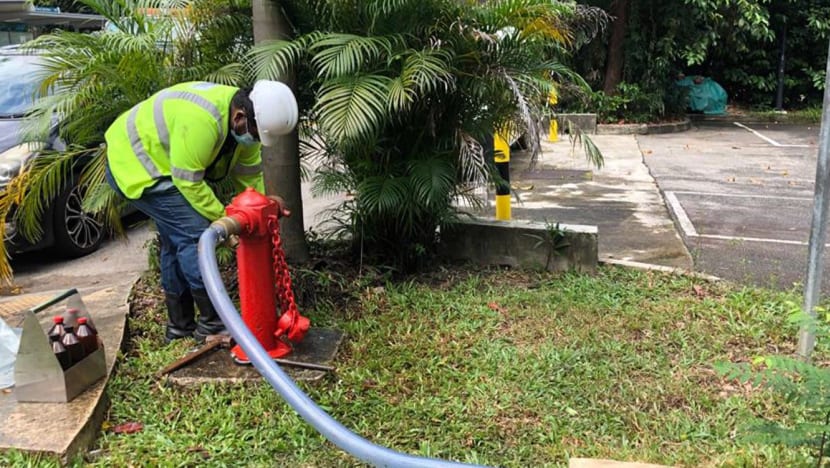 Pandan-smelling water traced to Malaysia; affected water has been isolated: PUB