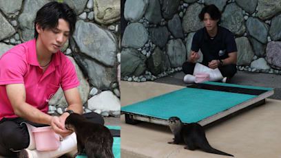 Japanese Aquarium Animal Keeper Goes Viral For His Looks; Visitors Can Now Track Him In Real-Time While He's At Work