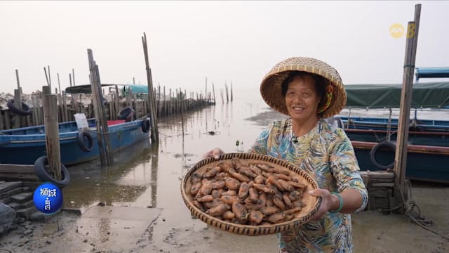 狮城有约 | 香港流浮山养蚝700年 蚝农的坚持成就美味