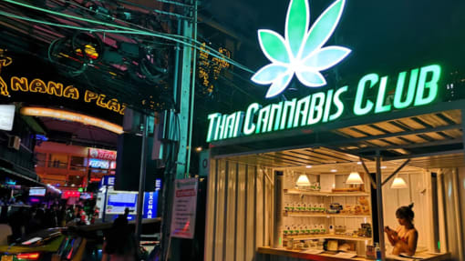 Thailand bakal wajibkan sijil perubatan bagi pembelian ganja