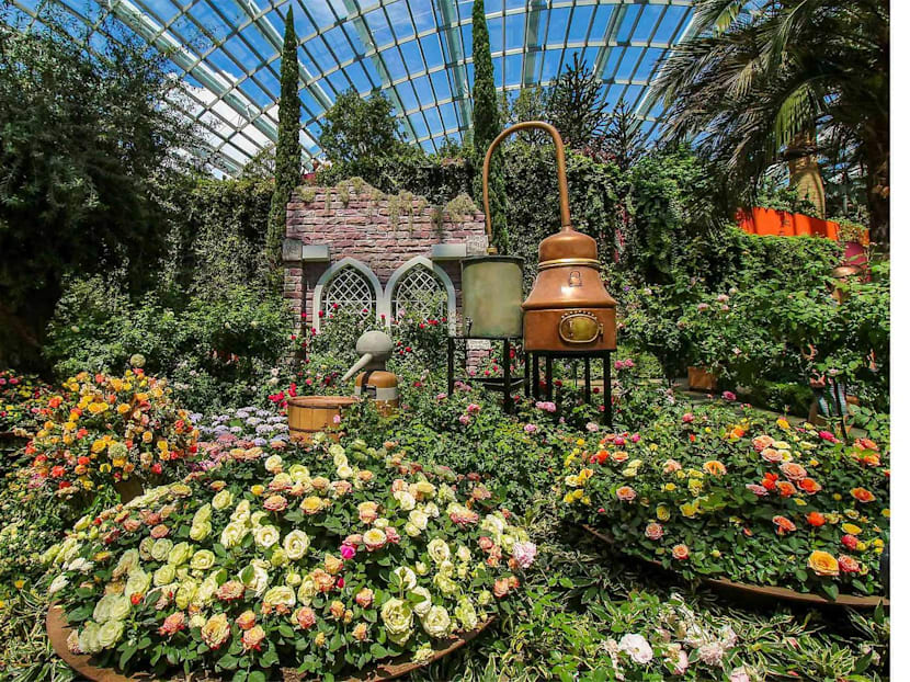 Best Things To Do In Singapore In July 2019