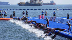 Related article image