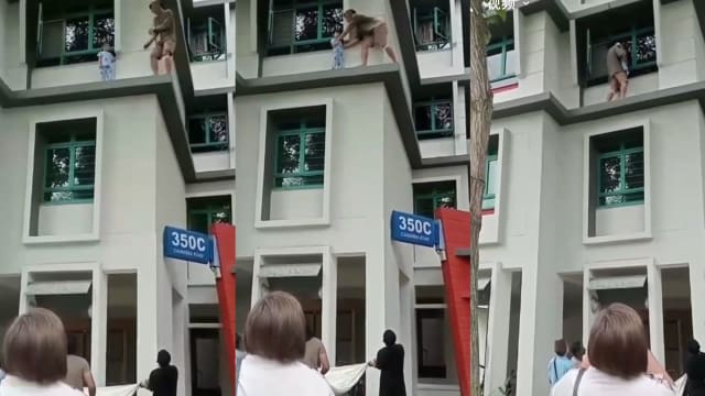 三岁男童危站组屋窗沿 女子因疏忽行为协助调查