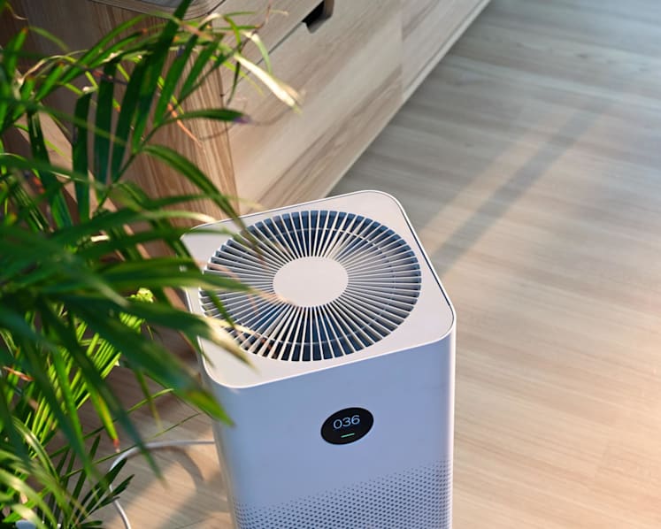 Singapore haze: Is your old air purifier still effective, and how much does it cost to run one? 