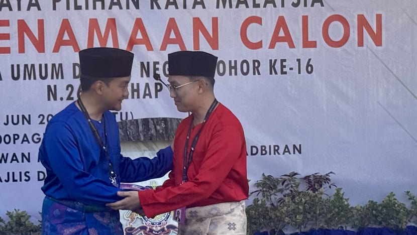 Johor polls: PM Anwar's PH fields refreshed candidates, opposition PN offers lean lineup as campaigning begins