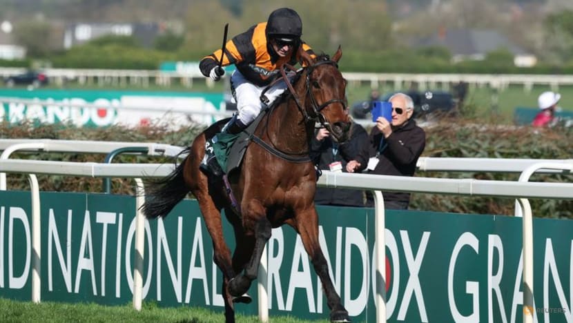 Horse racing-Nick Rockett wins Grand National in emotional 1-2-3 for Mullins