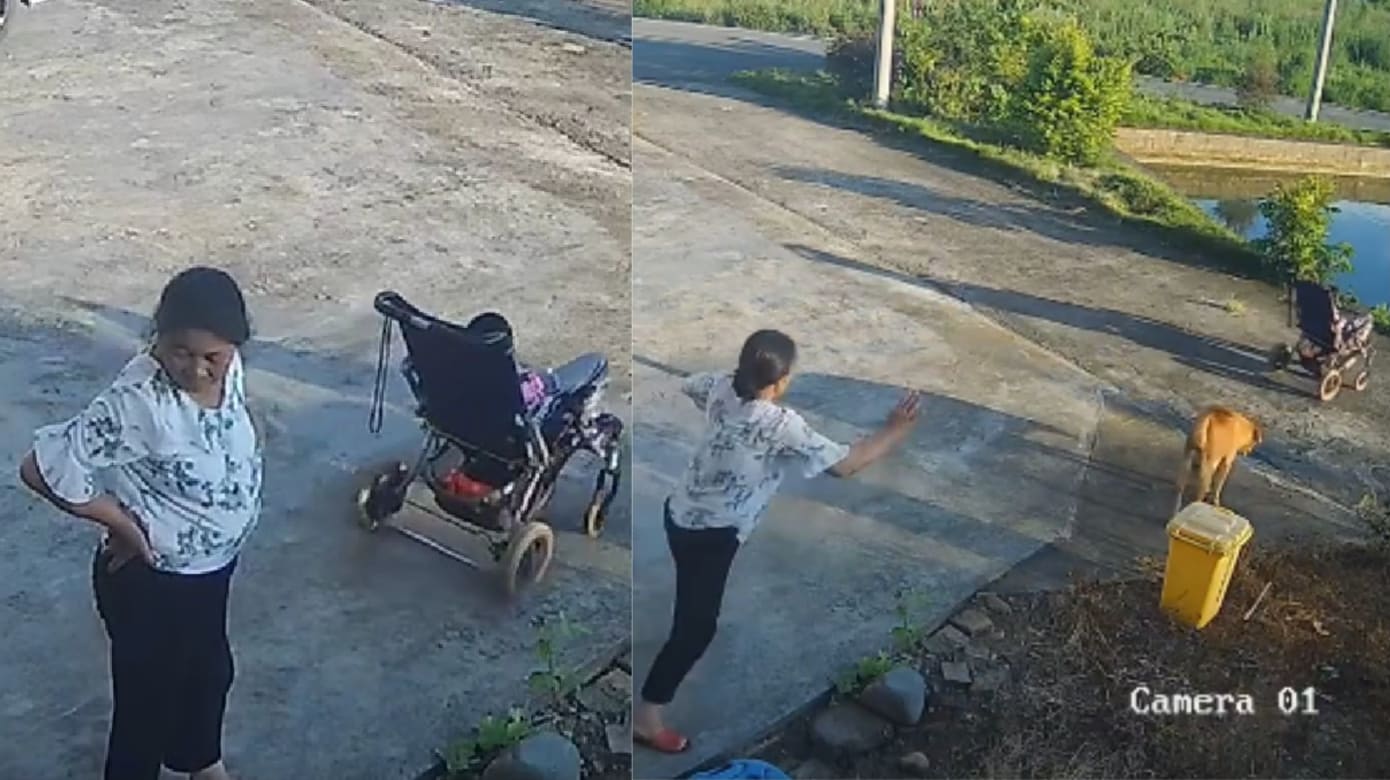 广东老妇聊天离手 婴儿车滑落池塘险酿悲剧