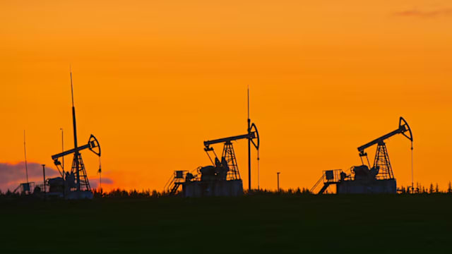 美国官员：印度将俄罗斯原油进口量减半