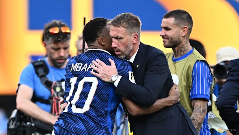Even 'perfect' may not have toppled France, says Sweden coach Potter