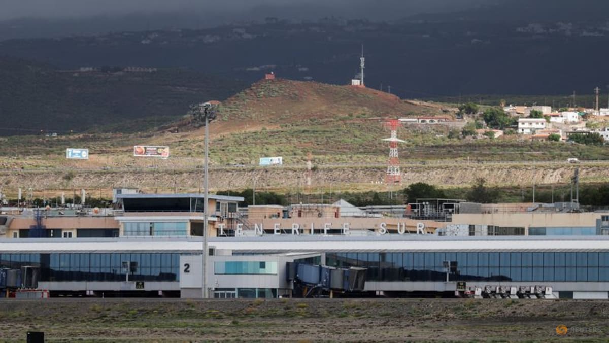 European states to send planes to evacuate citizens from hantavirus-hit cruise ship