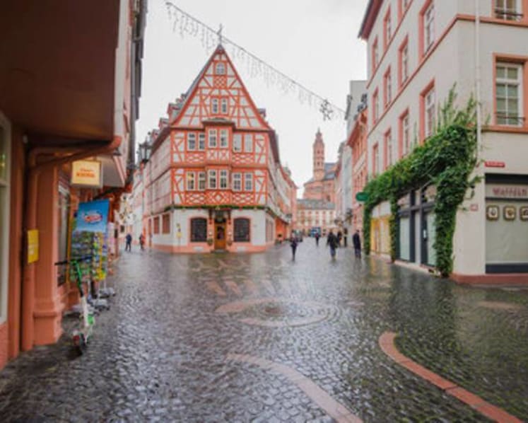Germany enters harder lockdown as virus deaths hit new high